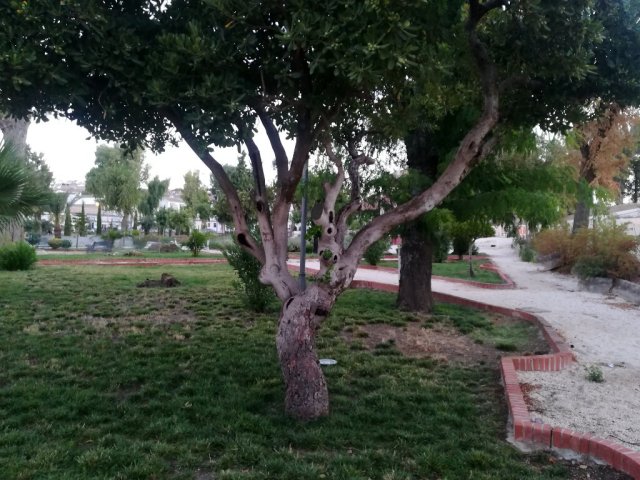 Parque de Jesús (12)